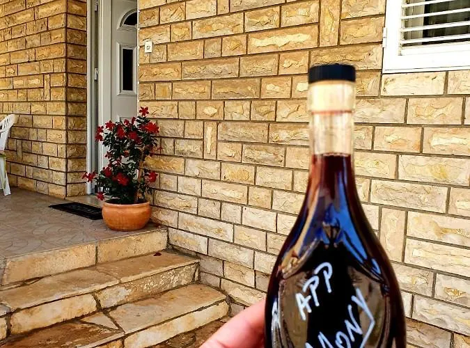 Lejlighed Mony Zadar